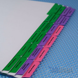 Balance Sheet Tabs (Colour)