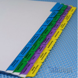 Audit Working Paper Tabs (Colour)